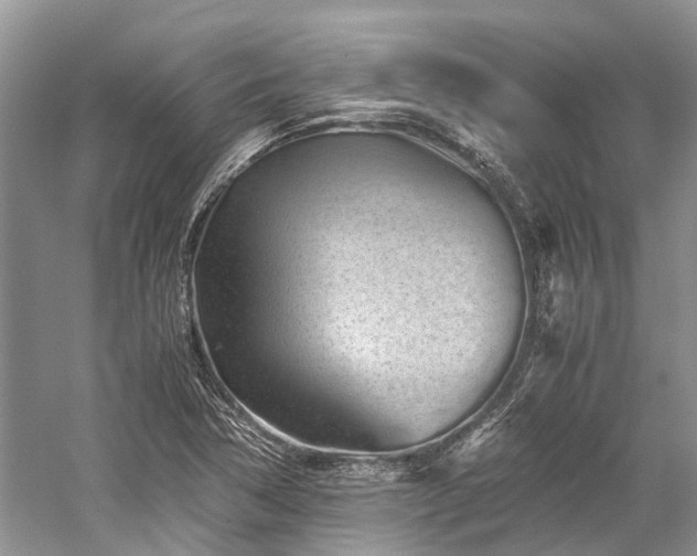 X0000059831362200510211202