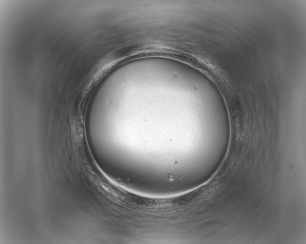 X0000059831363200510211202