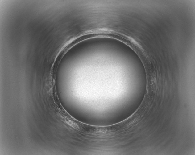 X0000059831364200510211202