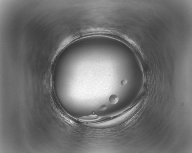 X0000059831365200510211202