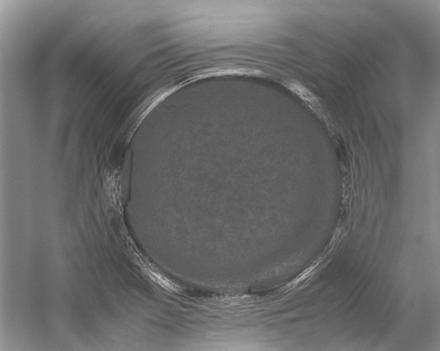 X0000059831369200510211202