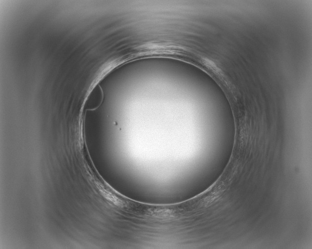 X0000059831370200510211202