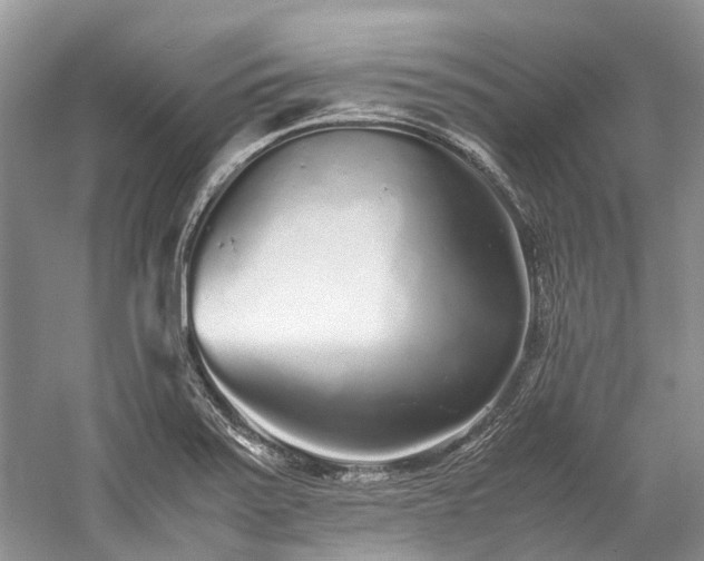 X0000059831371200510211202