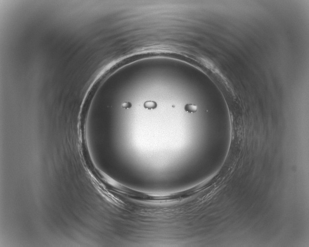 X0000059831372200510211202