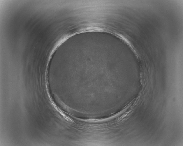 X0000059831373200510211202