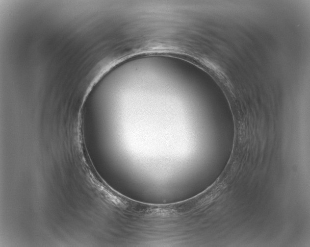 X0000059831374200510211202