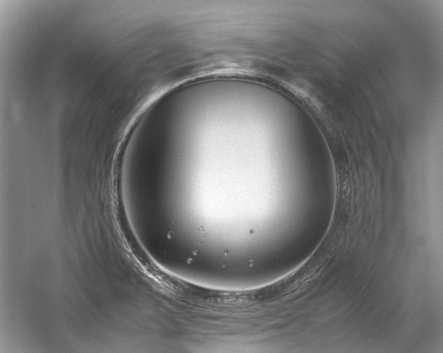 X0000059831375200510211202