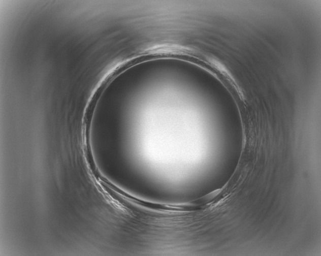 X0000059831376200510211202