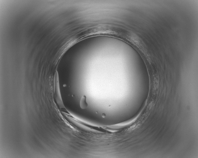 X0000059831377200510211202