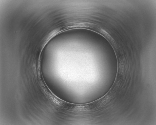 X0000059831378200510211202