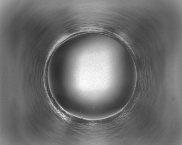 X0000059831379200510211201