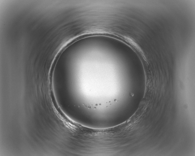 X0000059831380200510211201