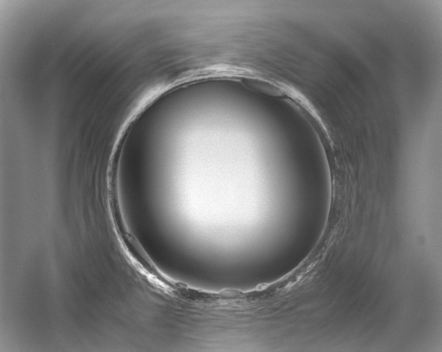 X0000059831381200510211201