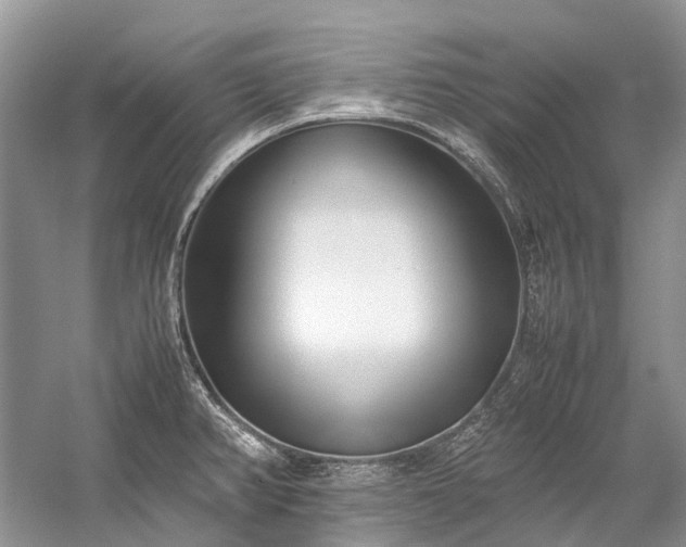 X0000059831382200510211201