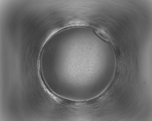 X0000059831383200510211201