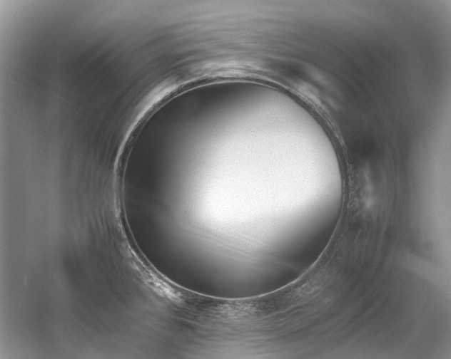 X0000059831384200510211201