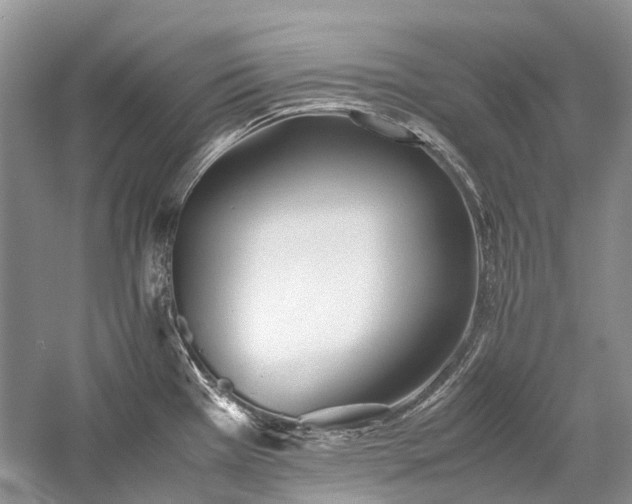 X0000059831385200510211201