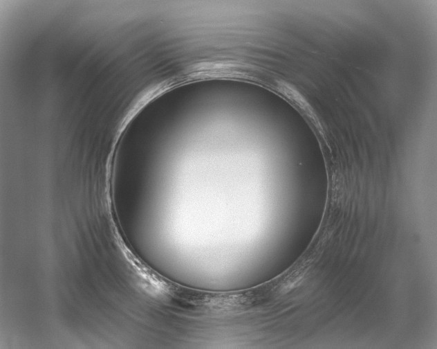 X0000059831386200510211201