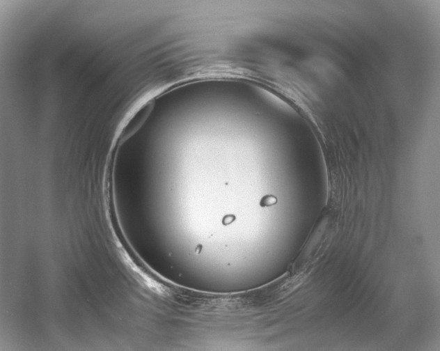 X0000059831387200510211201