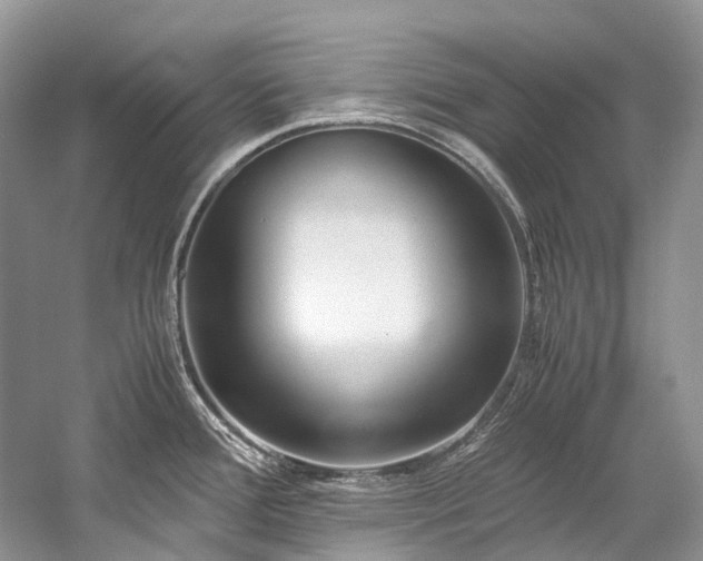 X0000059831388200510211201