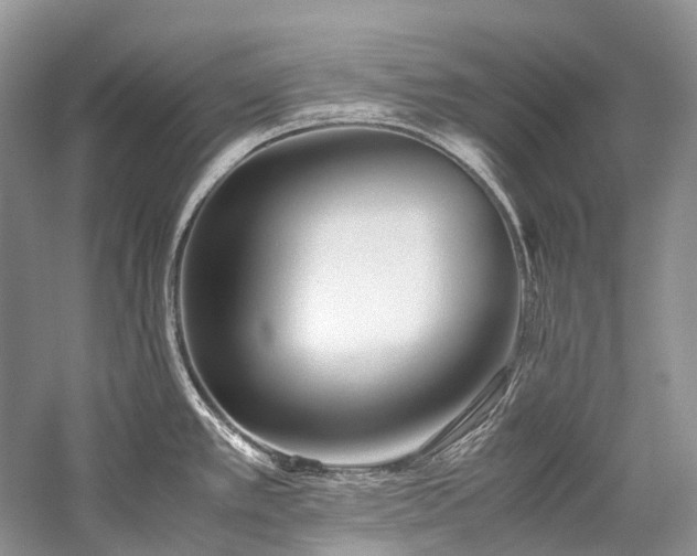 X0000059831389200510211201