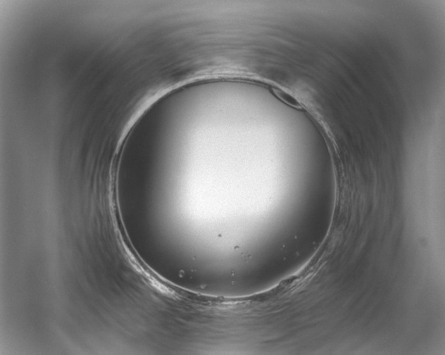 X0000059831390200510211201