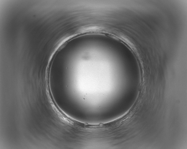 X0000059831392200510211201