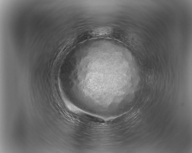 X0000059831393200510211200