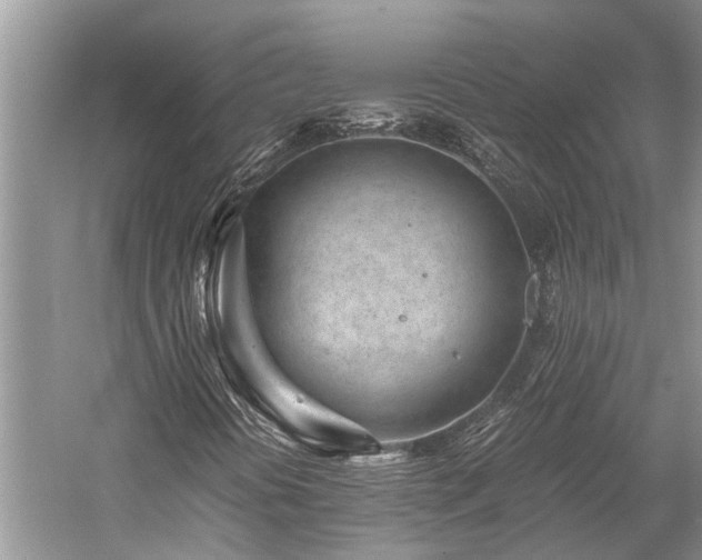 X0000059831394200510211200