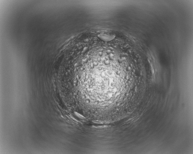 X0000059831397200510211201