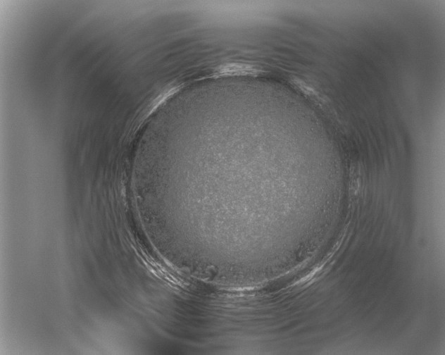 X0000059831401200510211201