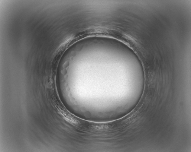 X0000059831403200510211201