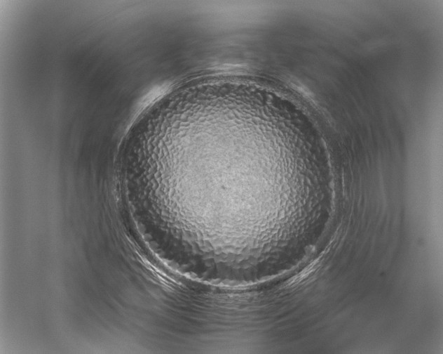 X0000059831405200510211201