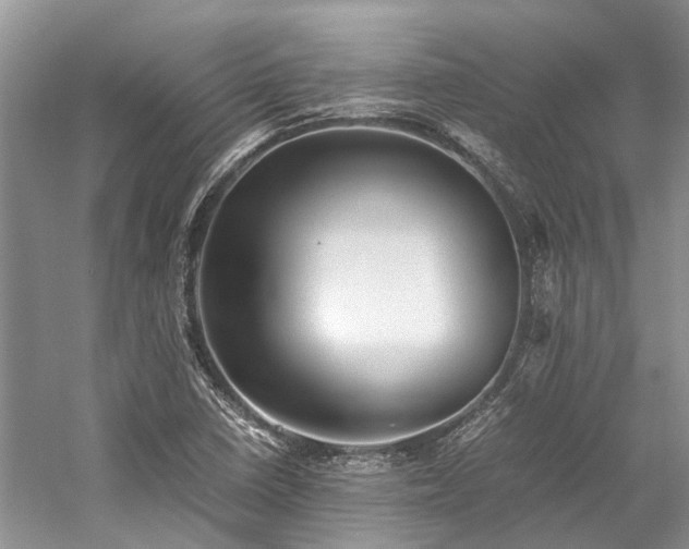 X0000059831410200510211201