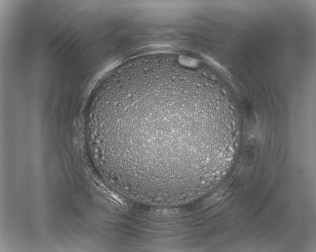 X0000059831411200510211201