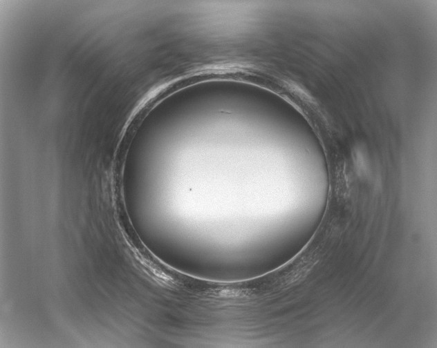 X0000059831412200510211201