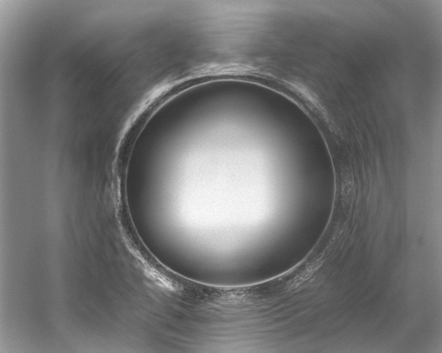 X0000059831414200510211201