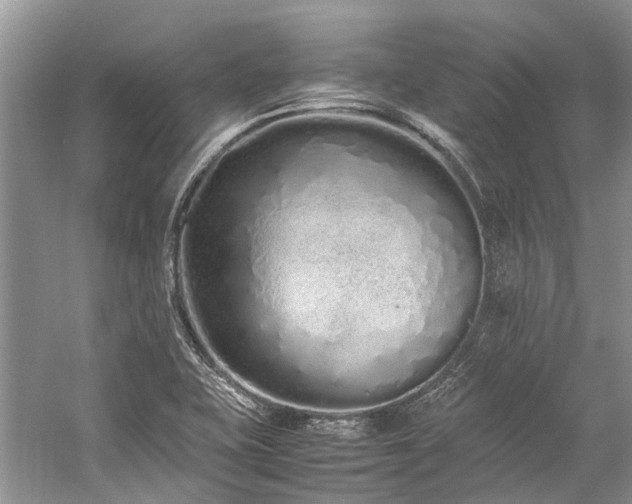 X0000059831415200510211201