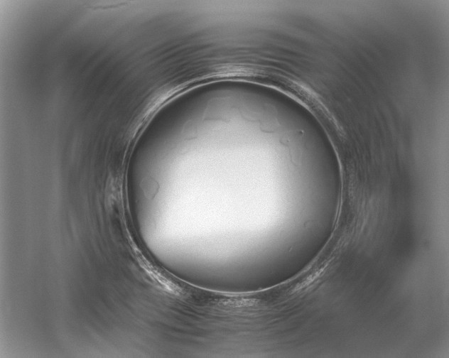 X0000059831417200510211201