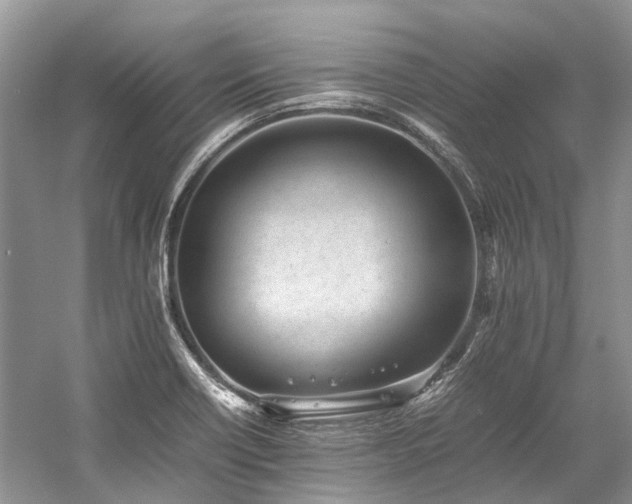 X0000059831418200510211201