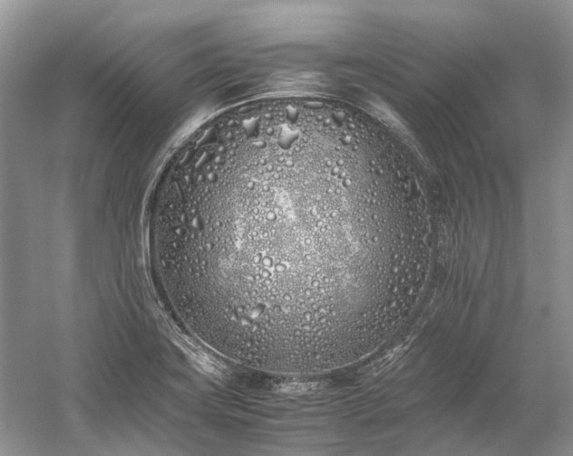 X0000059831419200510211201