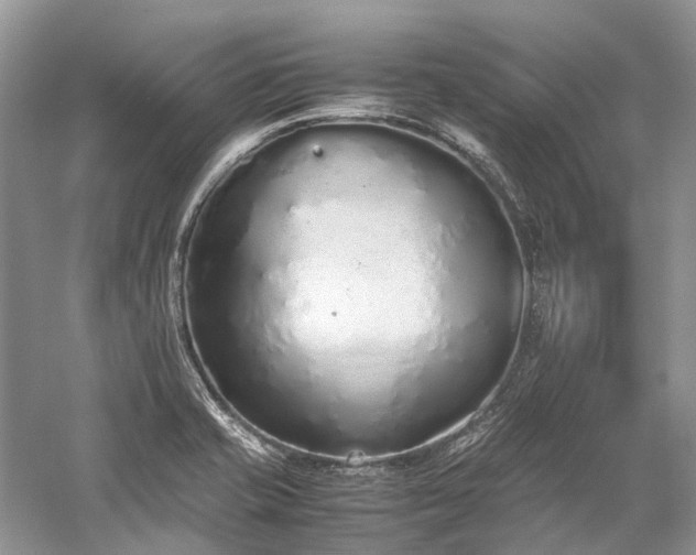 X0000059831421200510211201