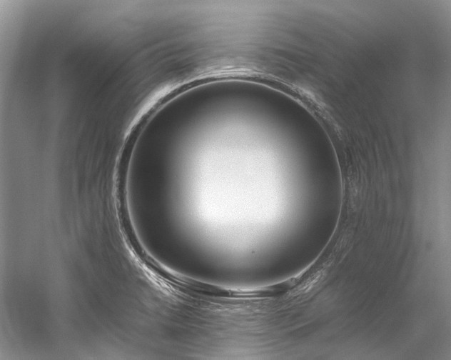 X0000059831422200510211201