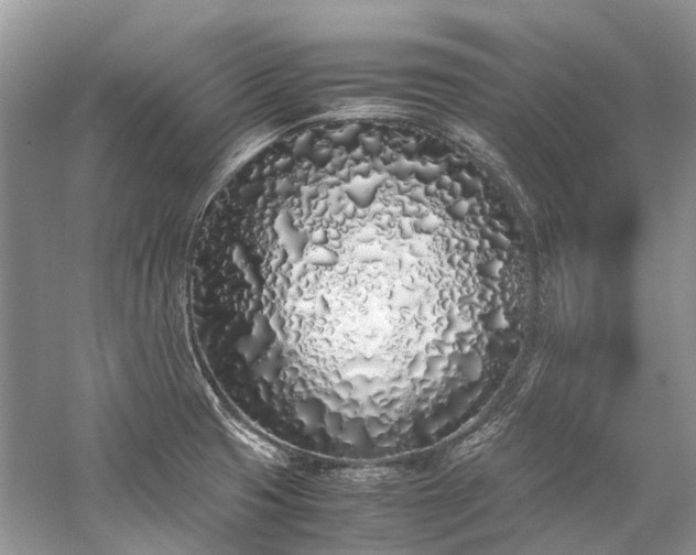 X0000059831425200510211201