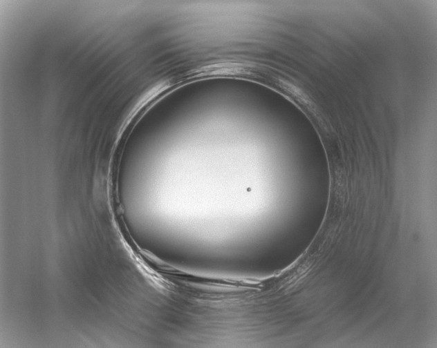 X0000059831426200510211201