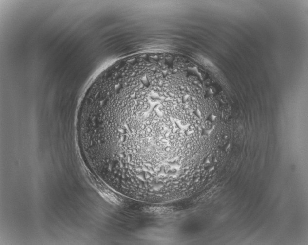 X0000059831427200510211201