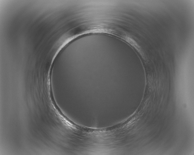 X0000059831428200510211201