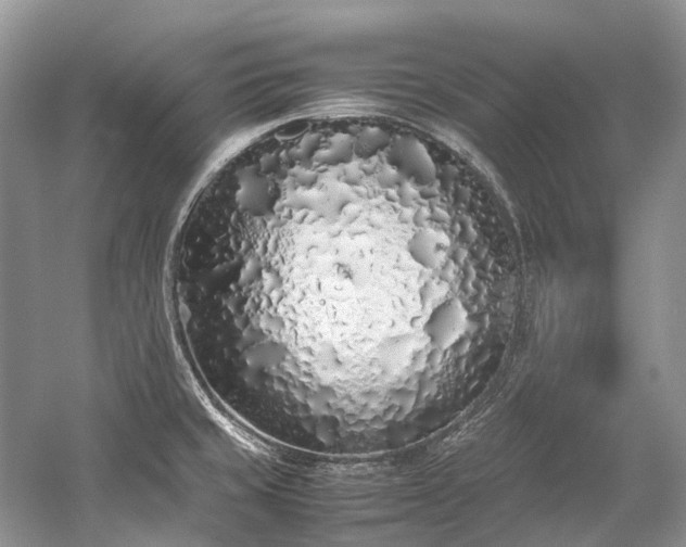 X0000059831429200510211201