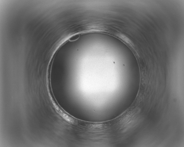 X0000059831431200510211201