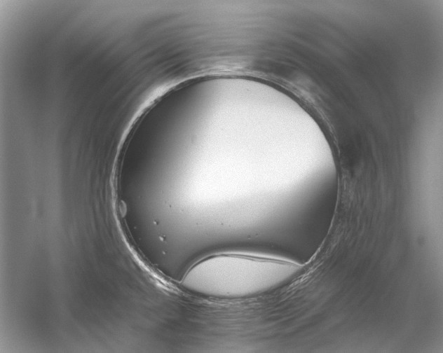 X0000059831432200510211201